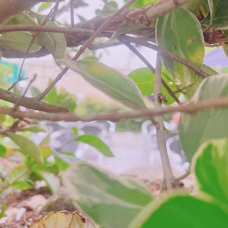 Hotel Marea 博伊奥 外观 照片