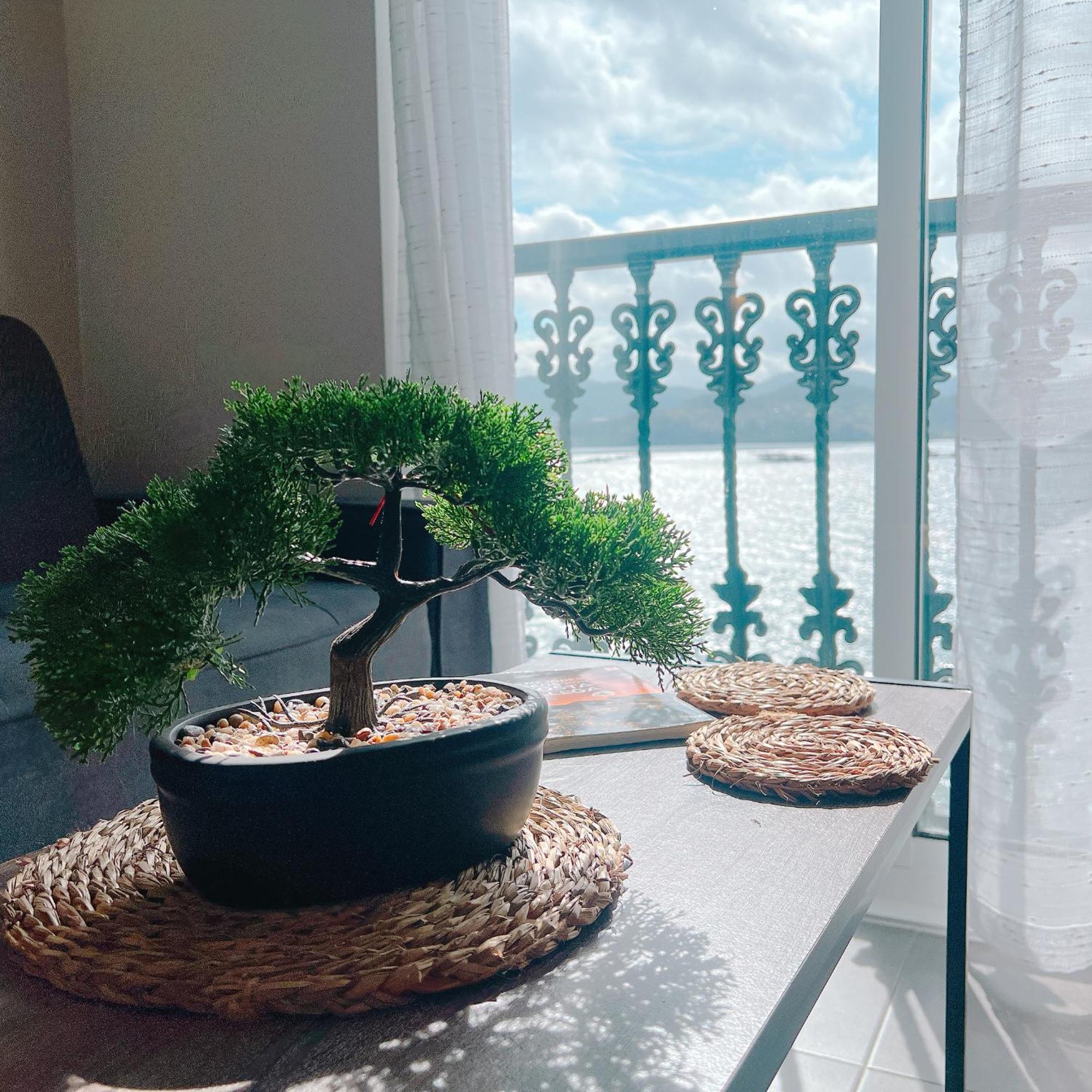 Hotel Marea 博伊奥 外观 照片